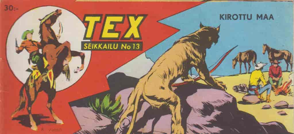 Tex 13/1960 Liuska -  tuotekuva