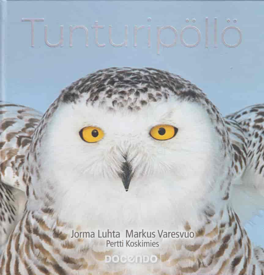 Tunturipöllö - Luhta Jorma, Varesvuo Markus, Koskimies Pertti tuotekuva