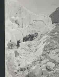 C.G. Mannerheim - Ratsain halki Aasian 1906-1908 - Halen Harry tuotekuva