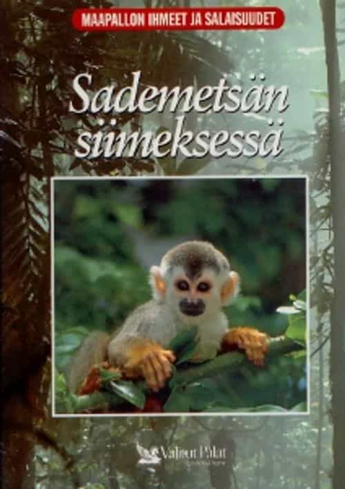 Sademetsän siimeksessä