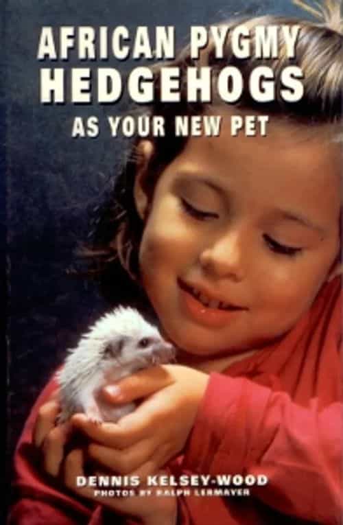 African pygmy hedgehogs as your new pet