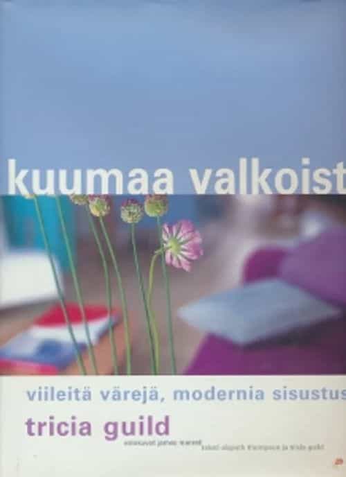Kuumaa valkoista Viileitä värejä, modernia sisustusta