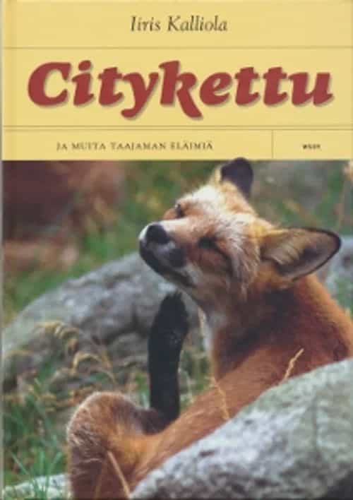 Citykettu Ja muita taajaman eläimiä