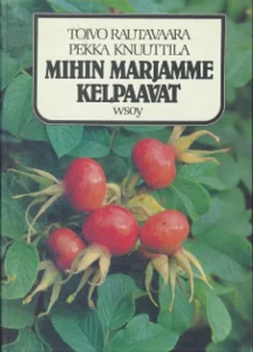 Mihin marjamme kelpaavat