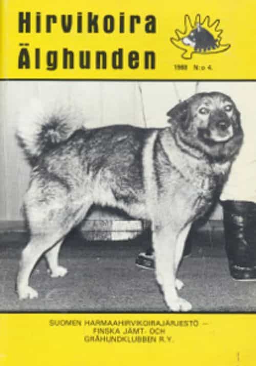 Hirvikoira - Älghunden 1988/4