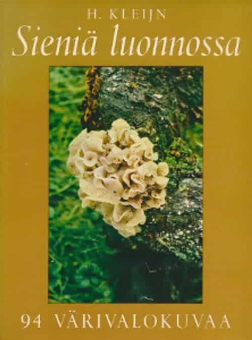 Sieniä luonnossa