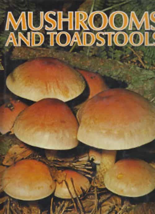 Mushrooms and toadstools