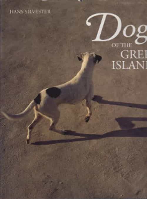 The Dogs of the Greek islands