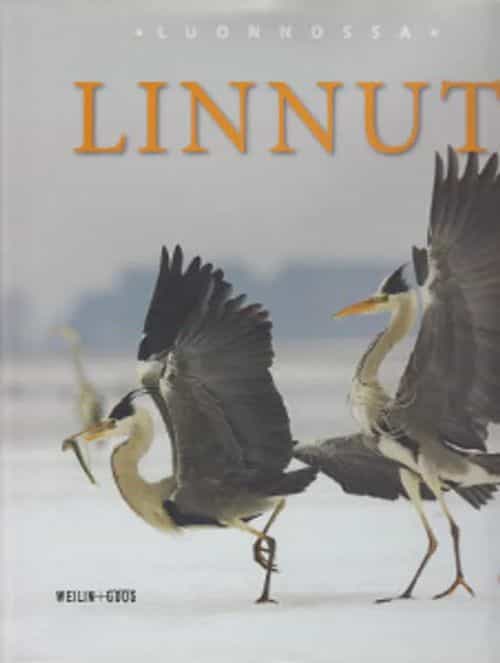 Luonnossa - Linnut 1