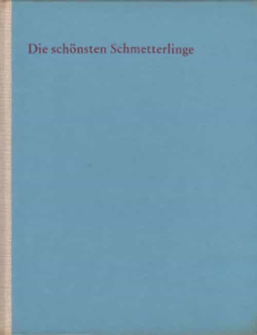 Schön ist die welt - Die schönsten Schmetterlinge