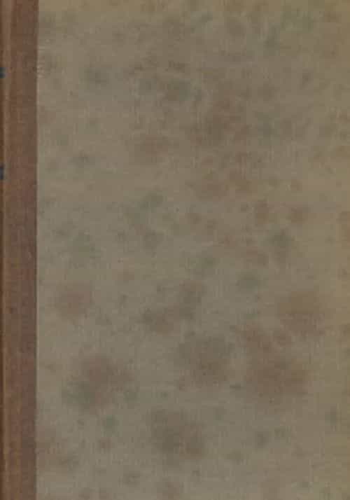 Novelleja