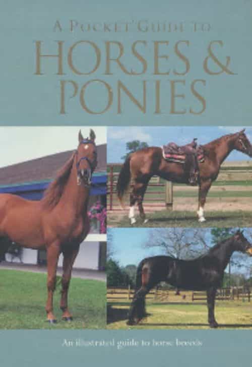 A Pocket guide to Horses & ponies