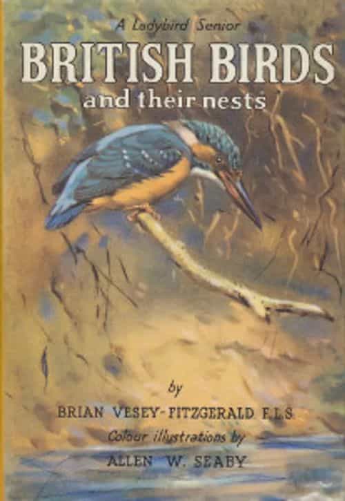 British birds and their nests