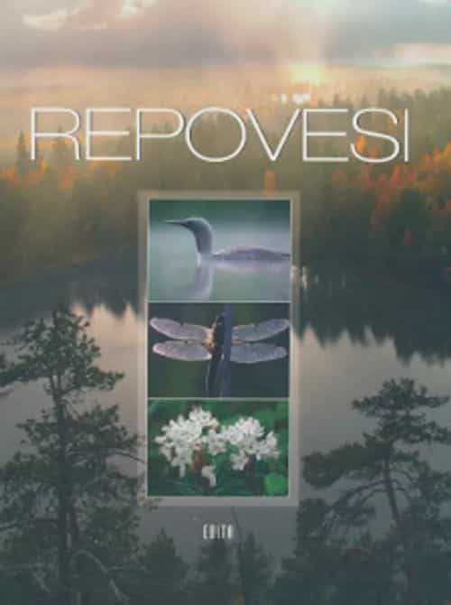 Repovesi A wilderness in Southern Finland