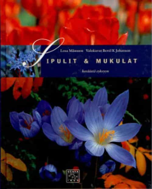 Sipulit & mukulat keväästä syksyyn