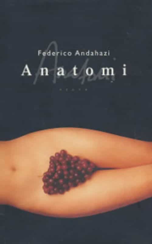 Anatomi