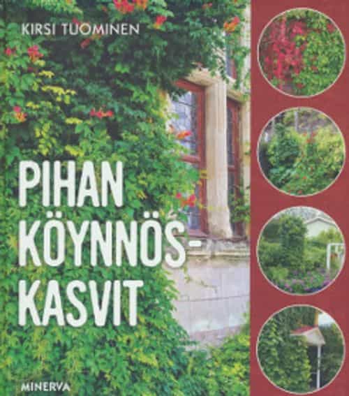 Pihan köynnöskasvit