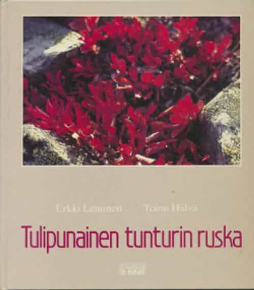 Tulipunainen tunturin ruska (signeeraus)