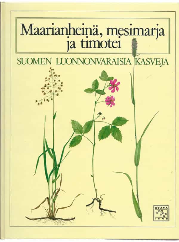 Maarianheinä mesimarja ja timotei