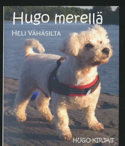 Hugo merellä