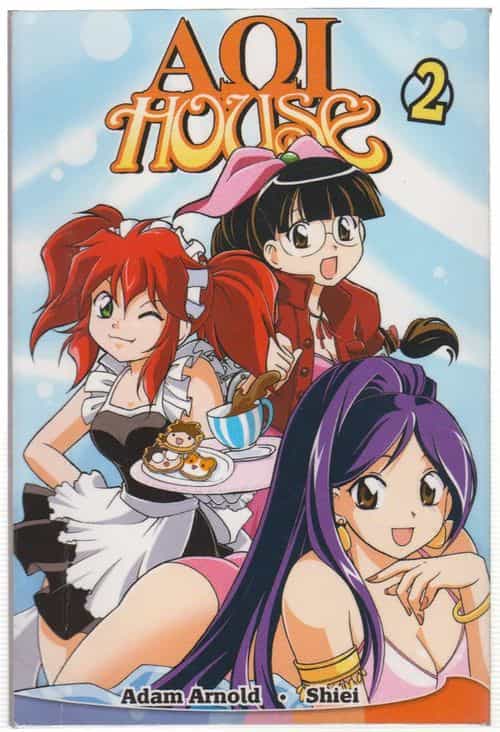 AOI house 2