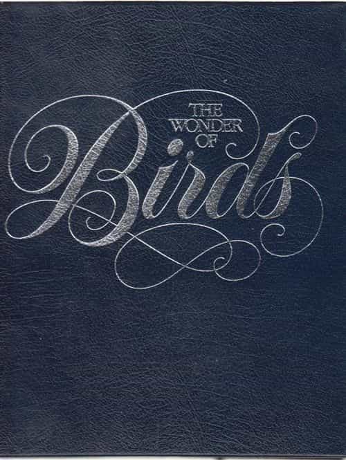 The Wonder of Birds