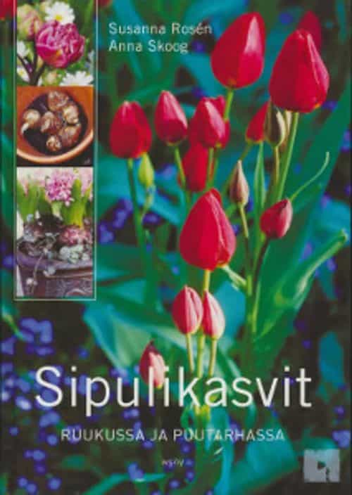 Sipulikasvit ruukussa ja puutarhassa