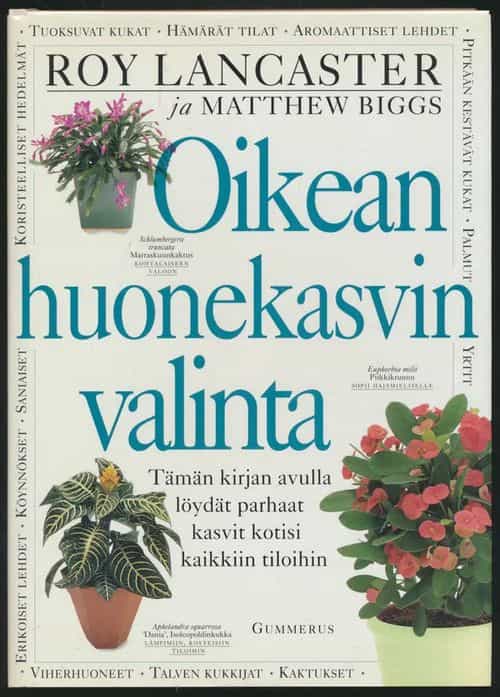 Oikean huonekasvin valinta