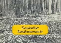 Ekenäsbilder Tammisaaren kuvia