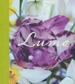 Tulppaanitarhan lumo
