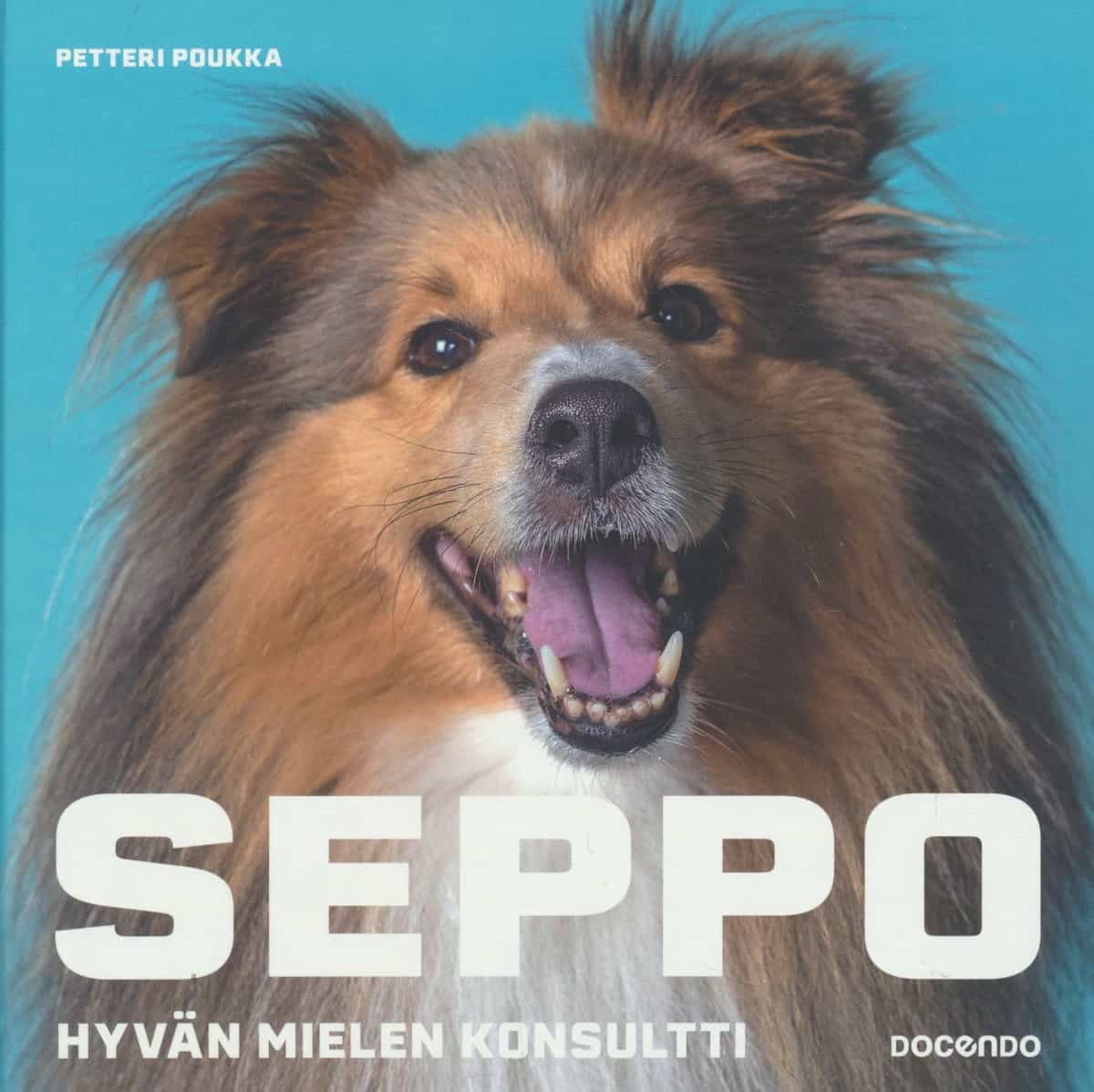 Seppo Hyvän mielen konsultti