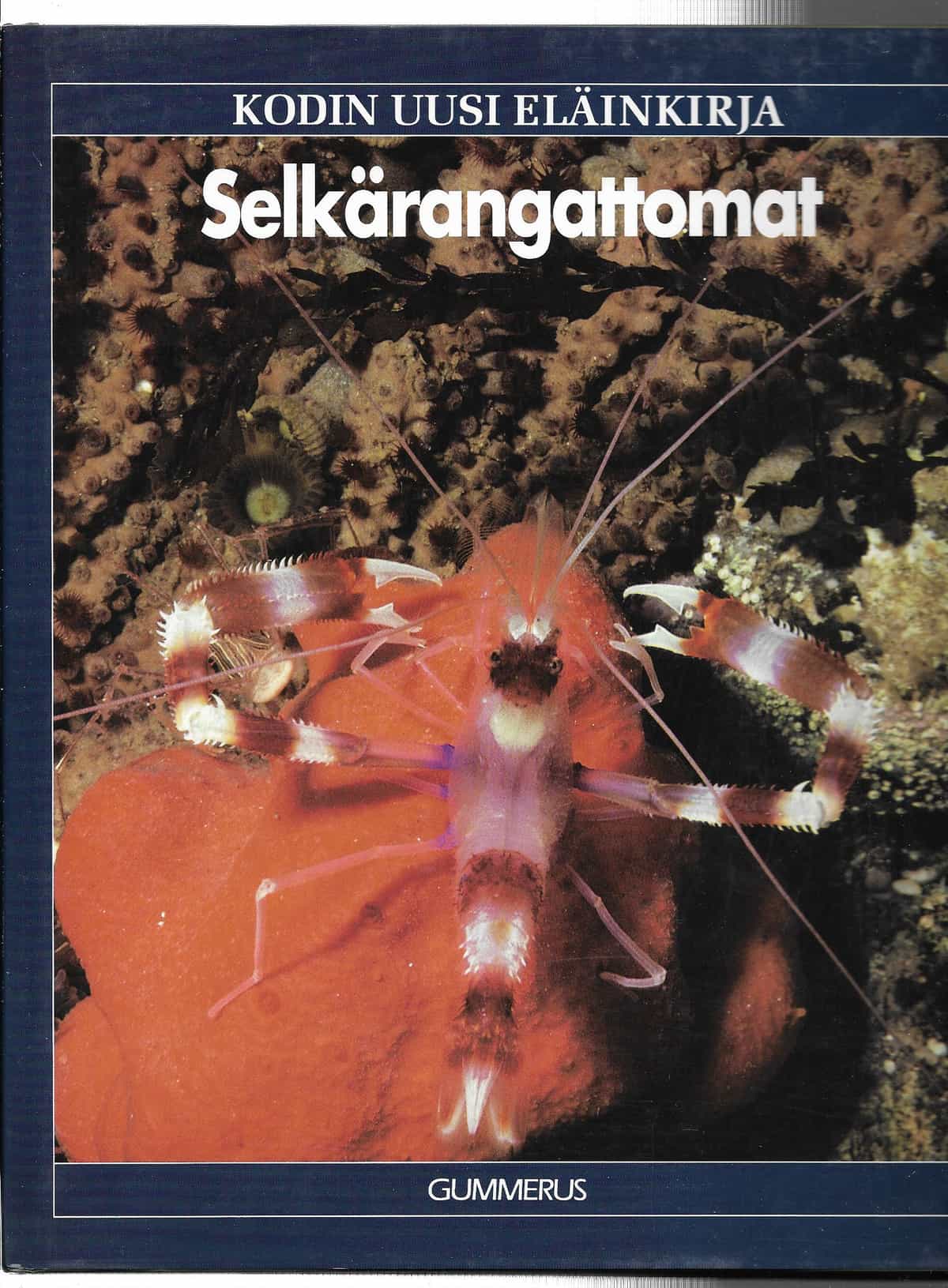 Kodin uusi eläinkirja: Selkärangattomat
