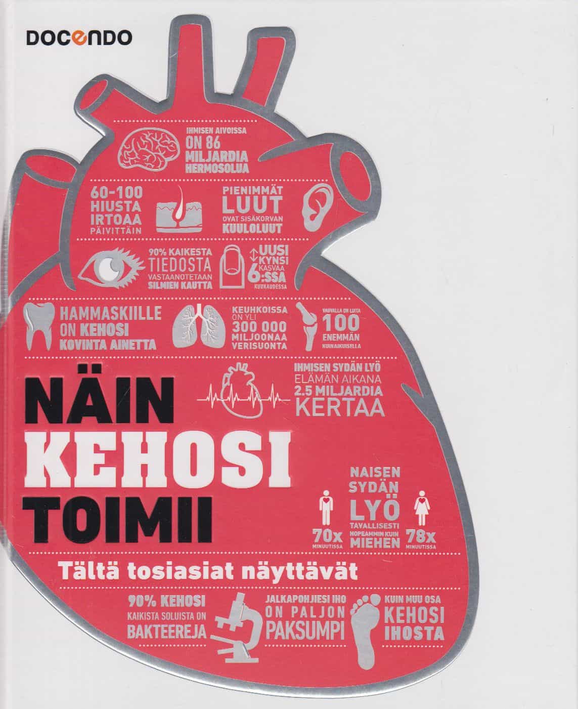 Näin kehosi toimii