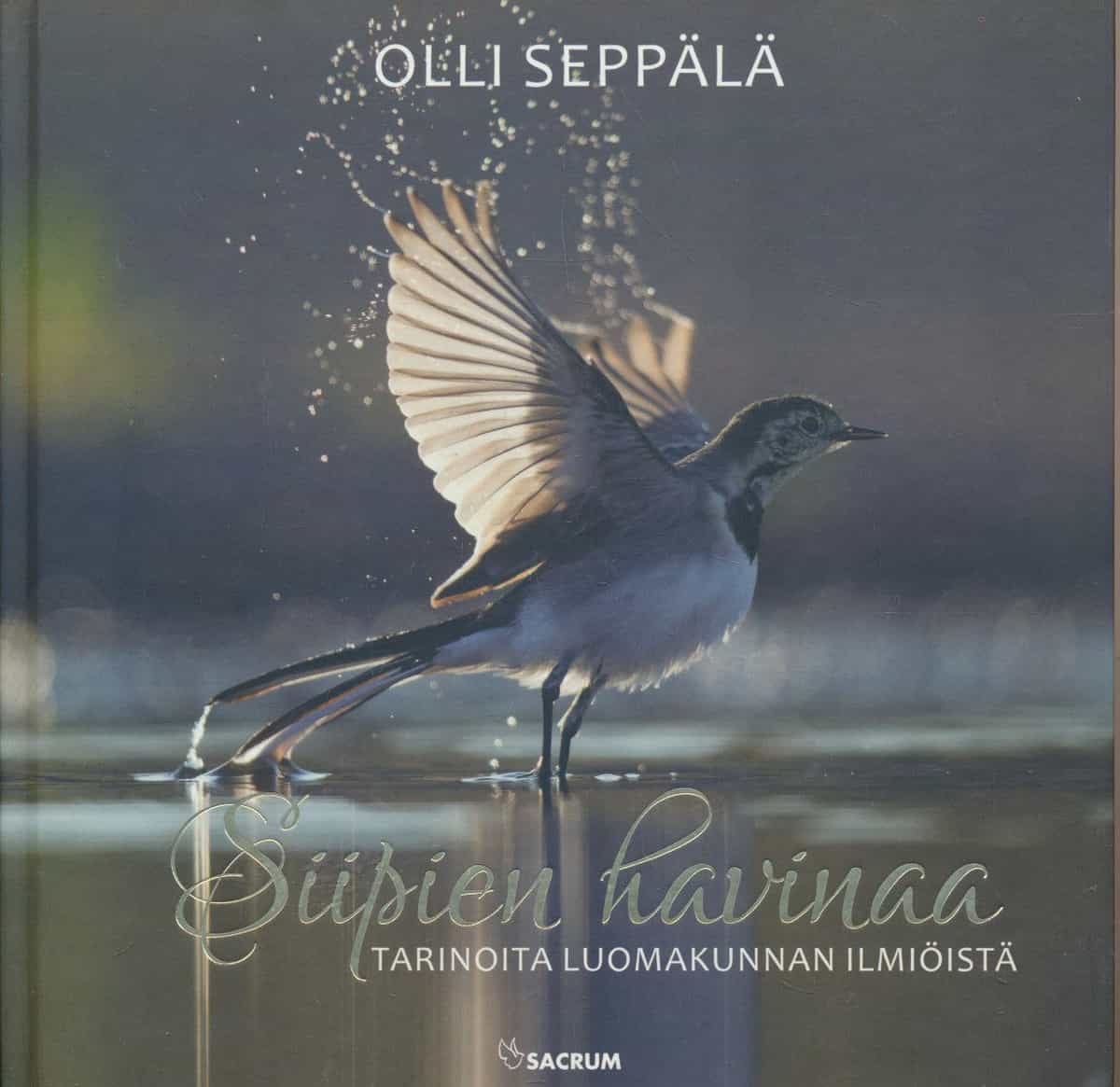 Siipien havinaa