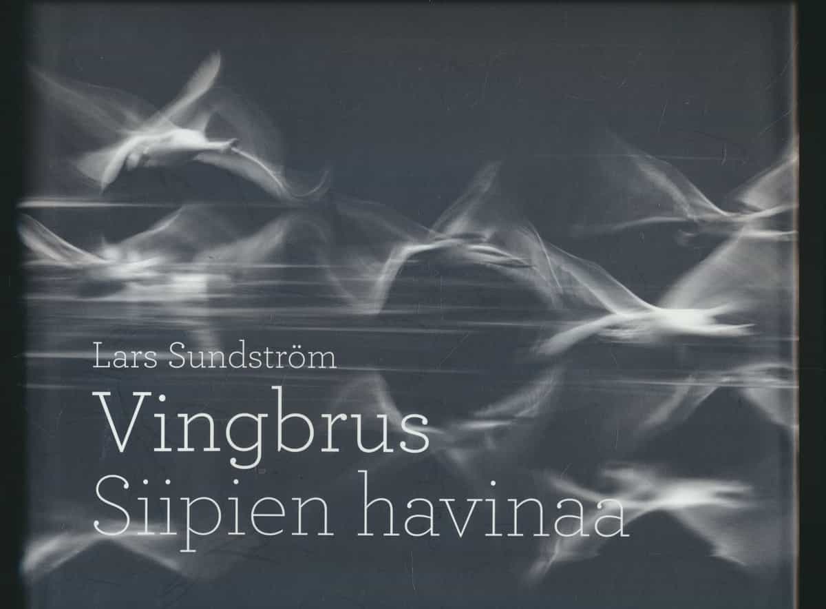 Vingbrus - Siipien havinaa