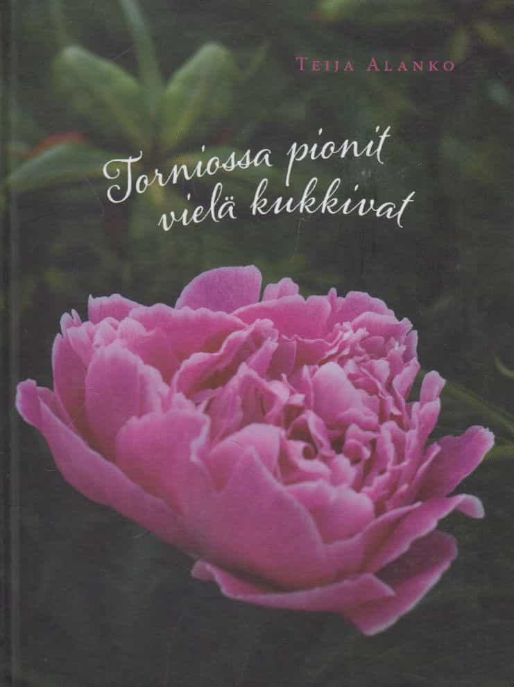 Torniossa pionit vielä kukkivat - Puutarhoja ja teetä Suomessa