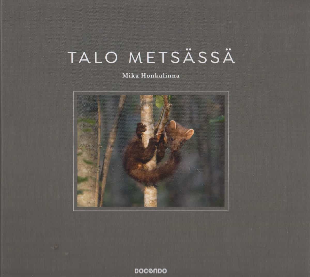 Talo metsässä