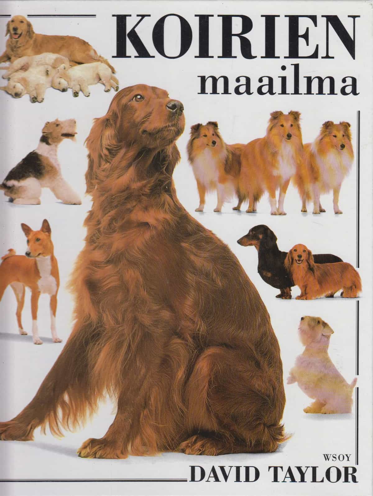 Koirien maailma