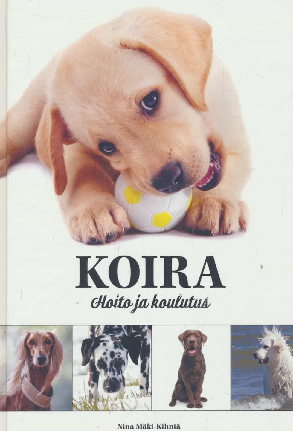 Koira - Hoito ja koulutus