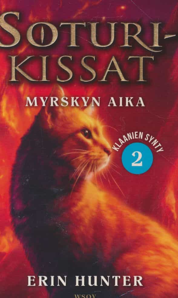 Myrskyn aika