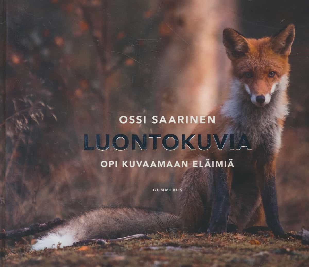 Luontokuvia - Opi kuvaamaan eläimiä