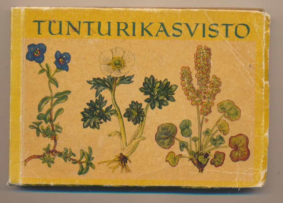 Tunturikasvisto