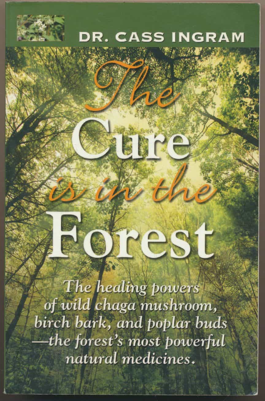 The Cure is in the Forest - The healing powers of wild chaga mushroom, birch bark, and poplar buds - the forest's most powerful natural medicines