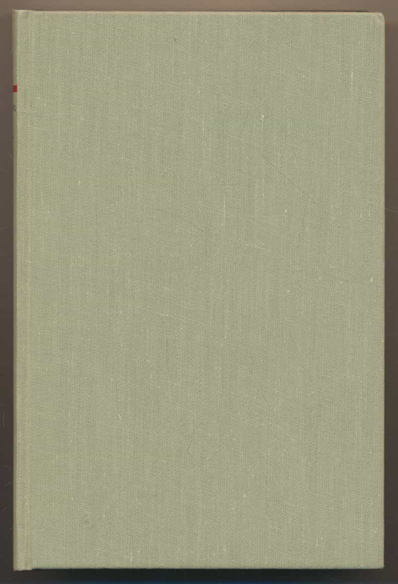 Komisario Palmun erehdys - Salapoliisiromaani