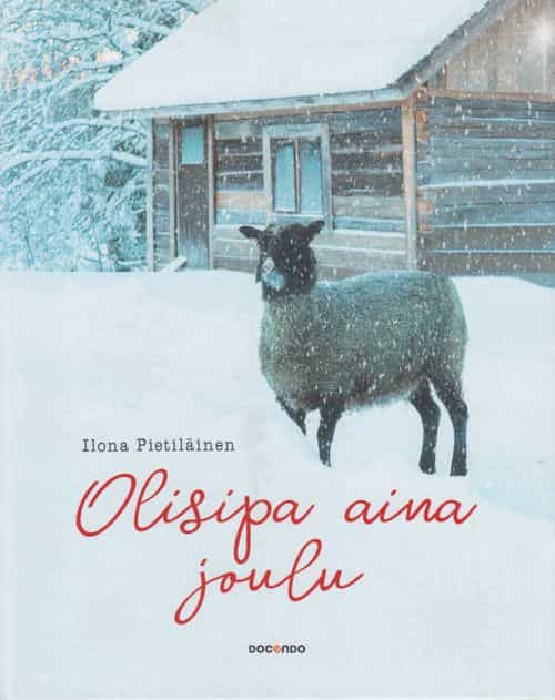 Olisipa aina joulu