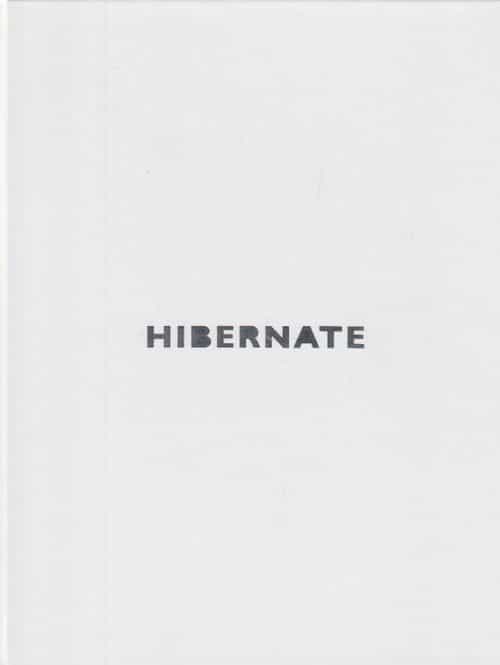Hibernate suomalainen korutaiteilijaryhmä - finnish jewellery artists