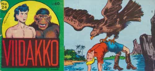 Viidakko 24/1964