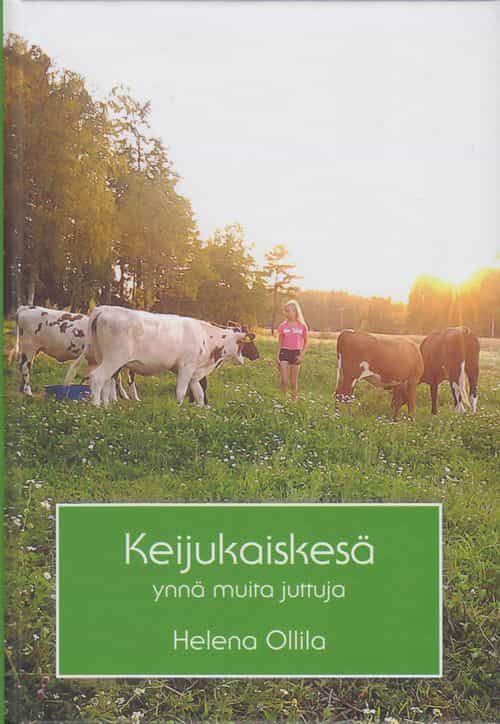 Keijukaiskesä ynnä muita juttuja