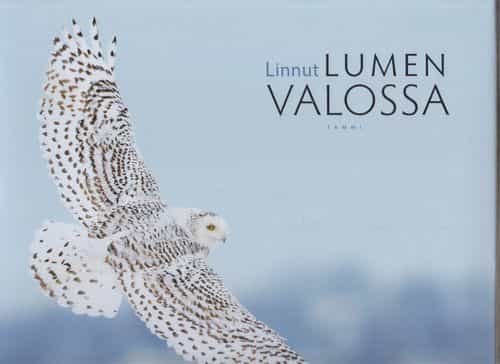 Linnut lumen valossa