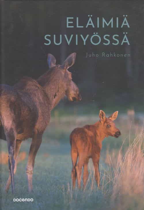 Eläimiä suviyössä